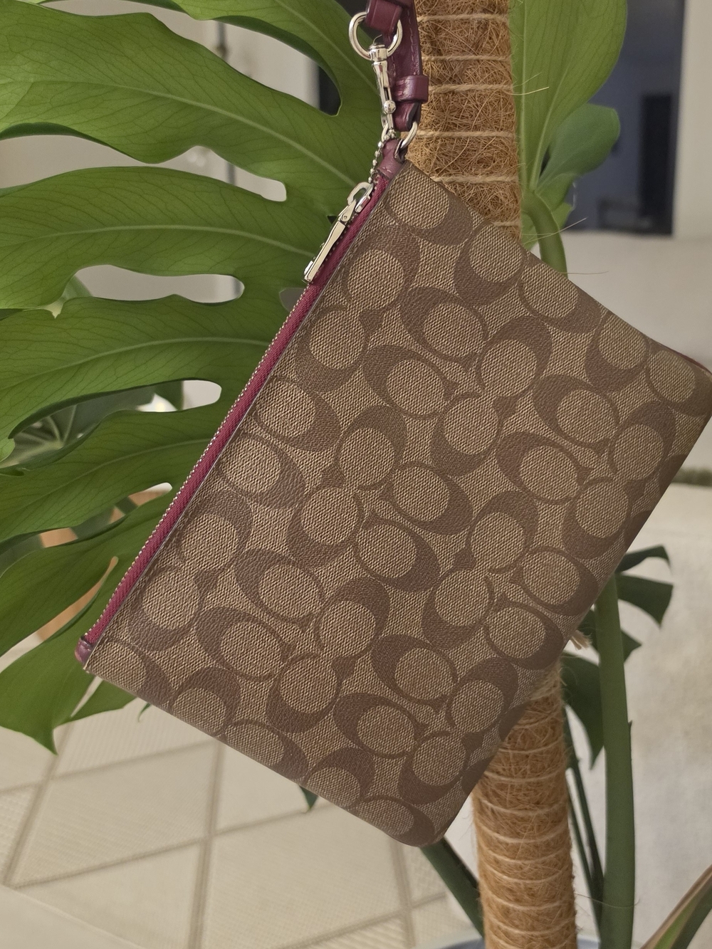 Coach Pouch In Signature Canvas - Picture 2 of 6